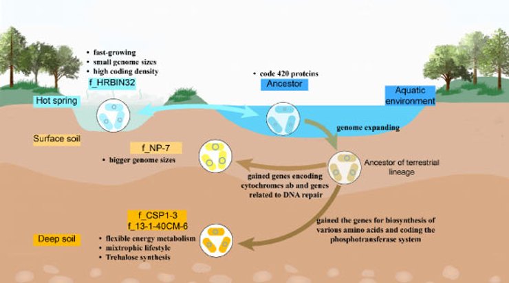 ґрунт, життя в ґрунті, ґрунт життя