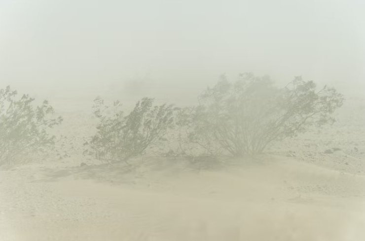 пылевая буря