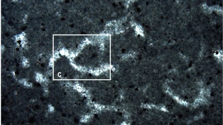 губка, ткани, снимок