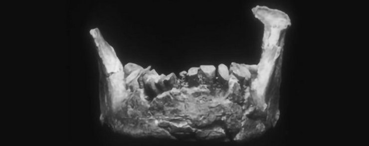 челюсть, Баньолес, древний человек