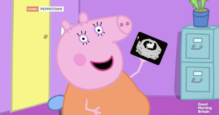 Мама Свинка показывает снимок ультразвукового исследования