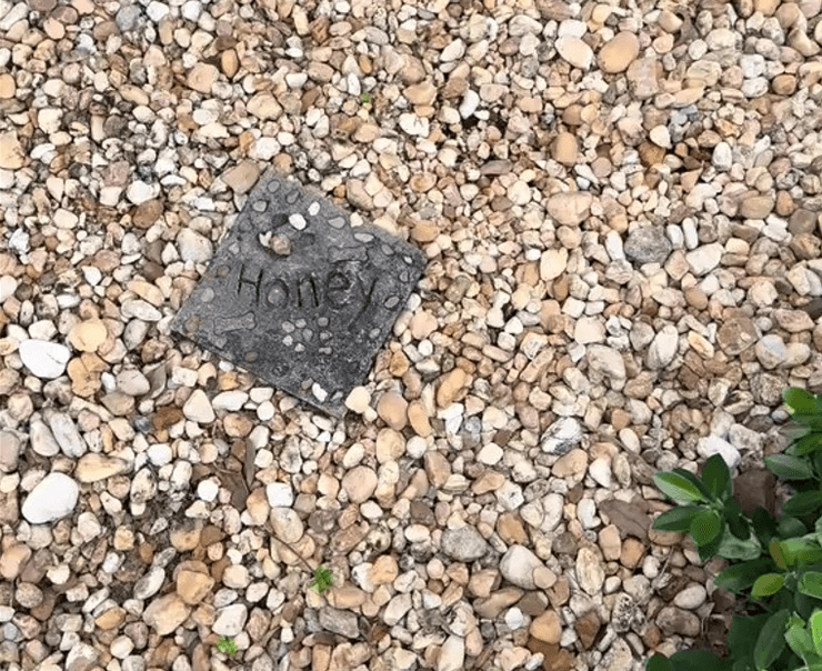 Женщина нашла могилу собаки возле дома