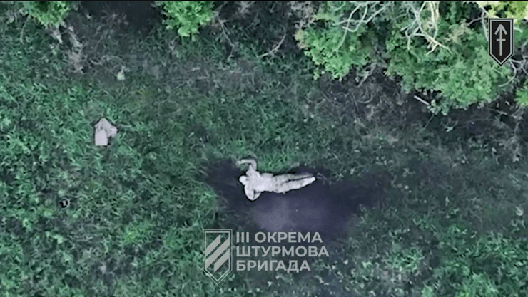 россиянин притворяется мертвым