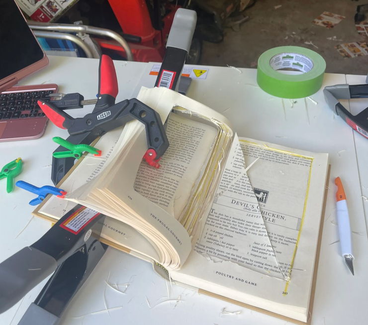 Домашнее насилие, абьюзивные отношения, несчастливый брак, побег, фото, США, библиотека, книги, телефоны, помощь