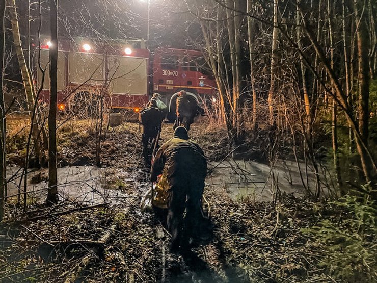 мигранты в Польше