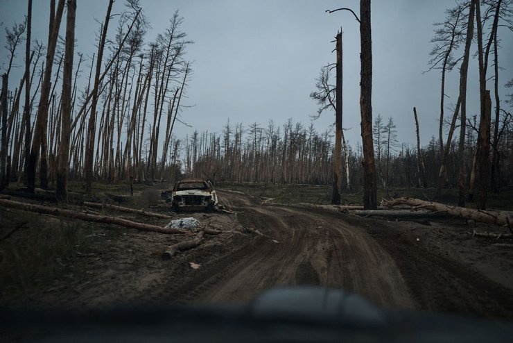 бои в Серебрянском лесу, ВСУ рассказали о боях в Серебрянском лесу, детали сложных боев в Серебрянском лесу, украинская пехота о боях в Серебрянском лесу, Серебрянский лес