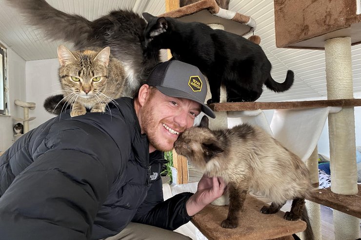 британский ветеран, ветеран том, спасение животных, иностранные добровольцы, иностранный легион, приюты для животных