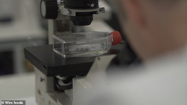 клетки, космос,