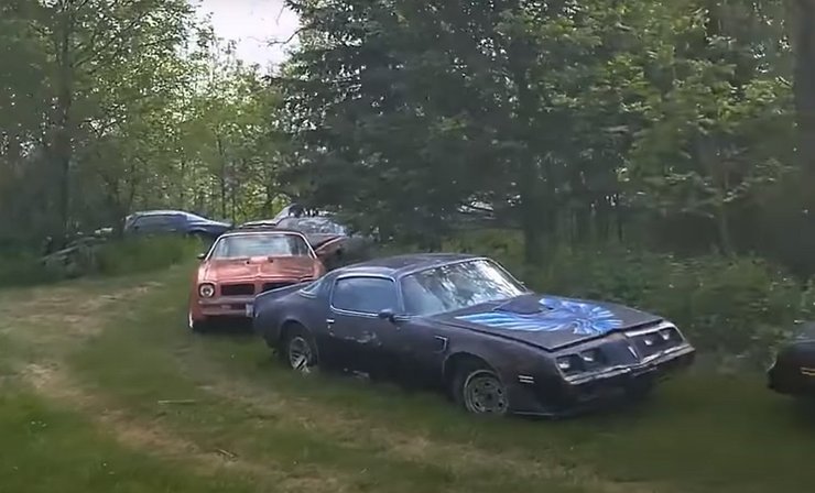 Pontiac Firebird, кладбище авто,  Pontiac Firebird Trans Am, заброшенные авто