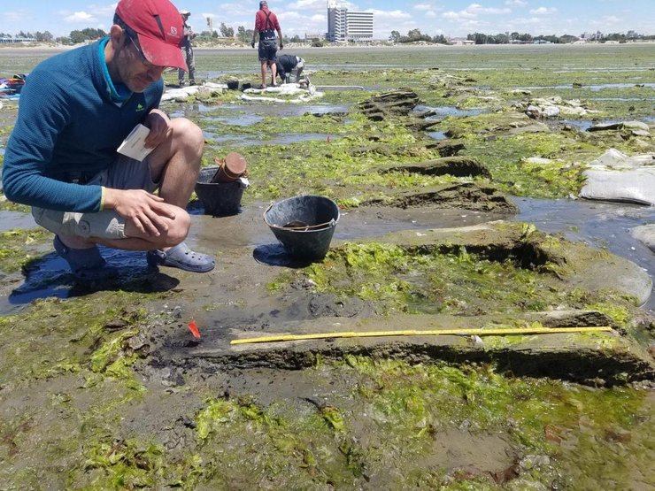 ученый, исследование, болото, фото