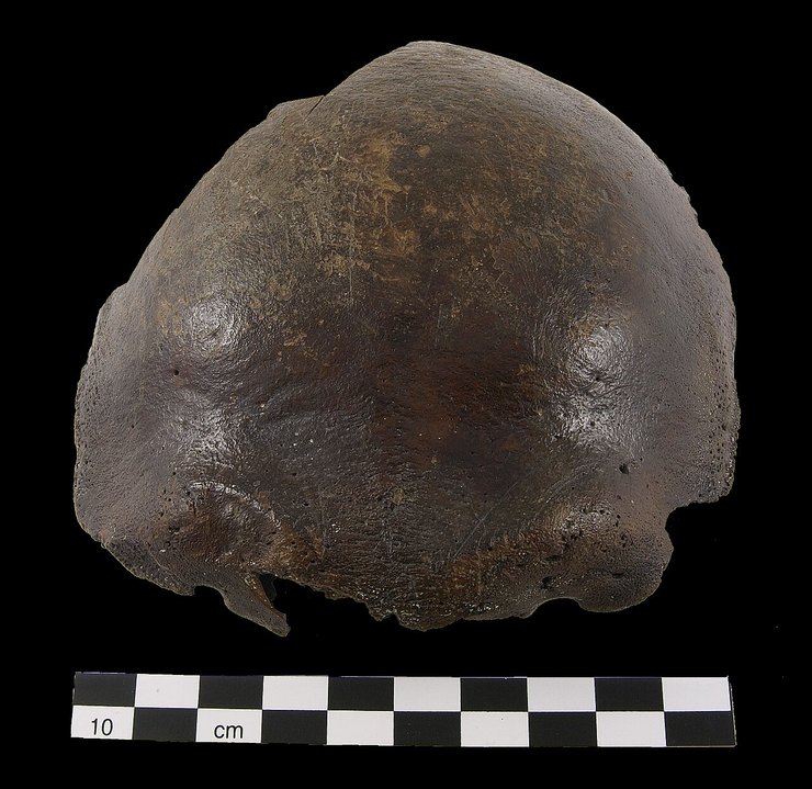 Череп был обнаружен в Германии