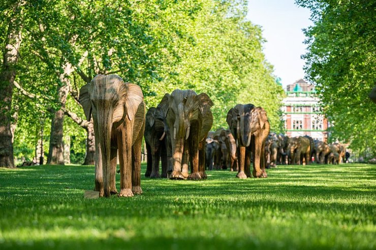 слоны, грин парк, лондон