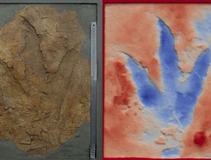 следы динозавров