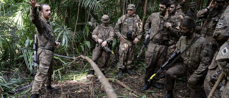 Британия армия