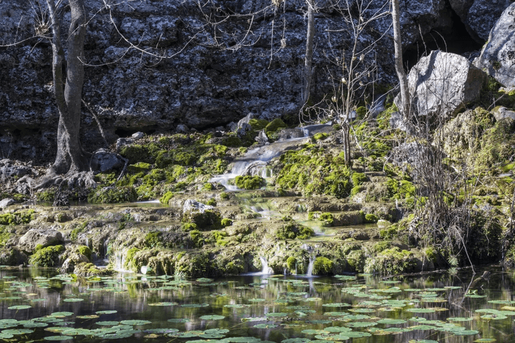 Земли Хани-Крик