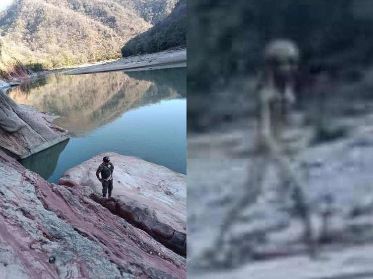 Люди заметили инопланетянина, инопланетянин, пришелец, длинные конечности , серый пришелец, почти прозрачный, НЛО, уфолог