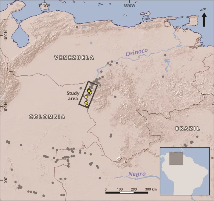 наскальные рисунки, река, Ориноко, змея, памятник, территория, жители, граница, исследования, изображения, рисунки, археологи, археология