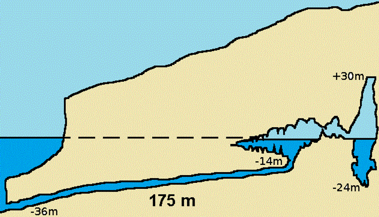 пещера, пещера коске, франция, исследование, океан, вода, палеолит, наскальная живопись, наскальные рисунки, древние люди, находка, древние люди, средиземное море, марсель, археологическая находка, археология,