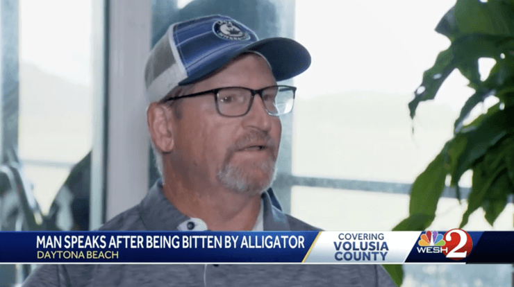 укусил аллигатор