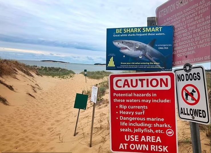 пляжі кейп-коду