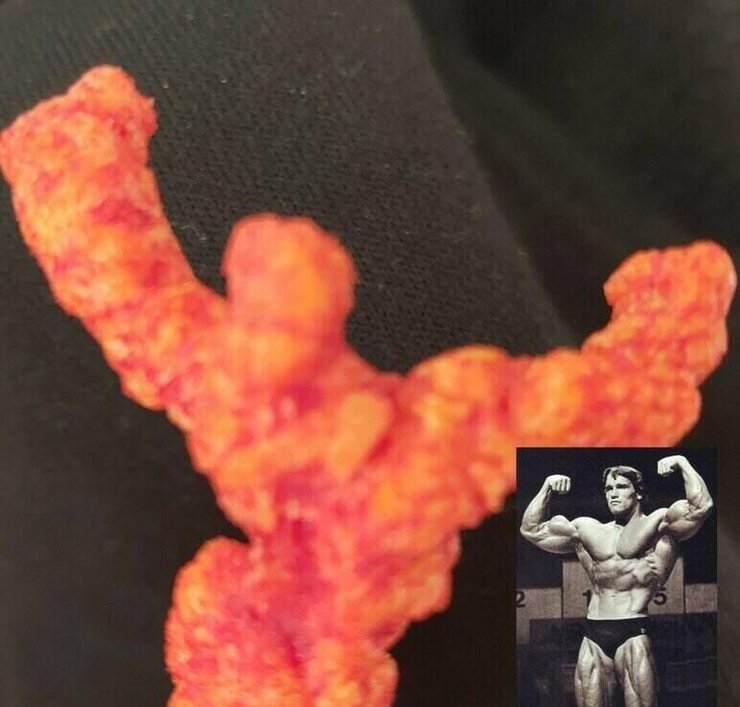 Арнольд Шварценеггер, чипс