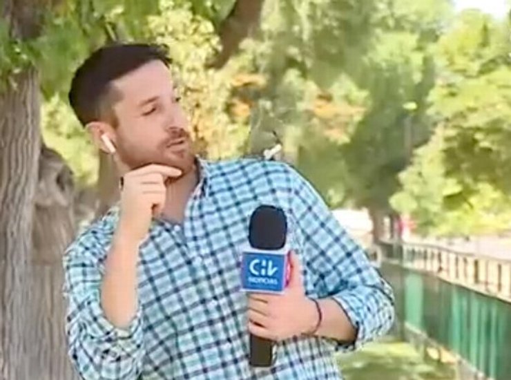 папуга крадіжки, папуга вкрав камеру, папуги злодії, папуги курйози, папуги цікаві факти, папуги цікаві факти, папуги цікаві факти, папуги ара цікаві факти хом'яках, блакитна сорока цікаві факти, цікаві факти про птахівництво, цікаві факти про птахів