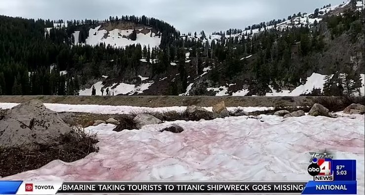 розовый снег юта