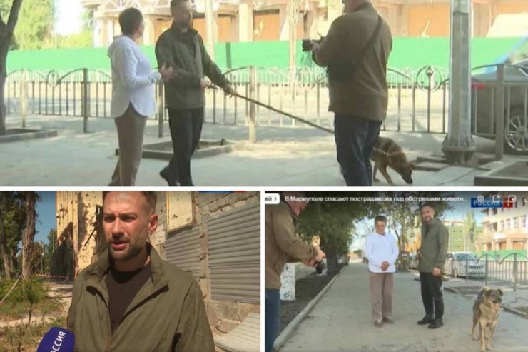 Дмитрий Шепелев снялся в выпуске шоу в оккупированном Мариуполе