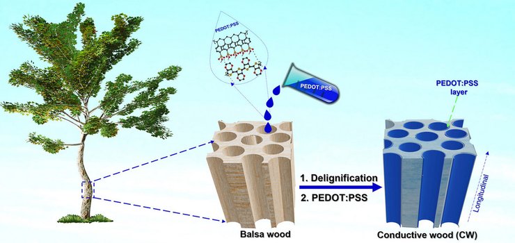 WECT, деревянный транзистор, транзистор из дерева