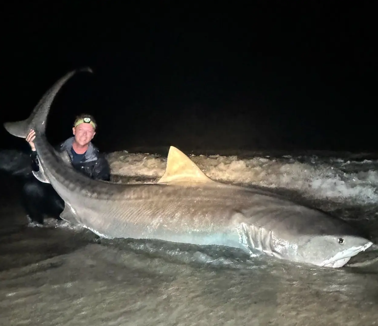 Оуэн Приор из Флориды, США, тигровая акула, улов, добыча, рекорд, курьезы, рыбак, рыбалка, фото