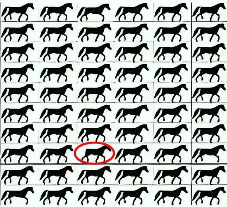 Візуальна головоломка, головоломка, гра, тест, завдання, хитра головоломка, кінь без хвоста, ідеальний зір, зір