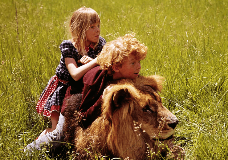 діти, лев, природа