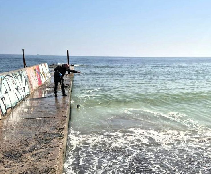 Черное море в Одессе пожелтело
