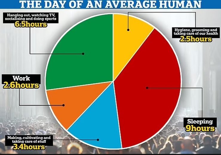 распорядок дня человека