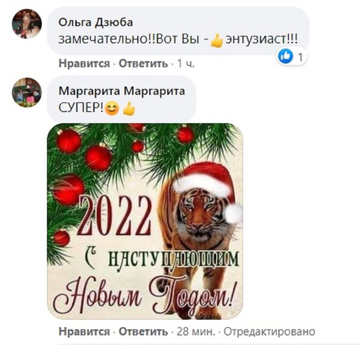 Одеса, зоопарк, Одеський зоопарк, кліп, Новий рік, рік Тигра