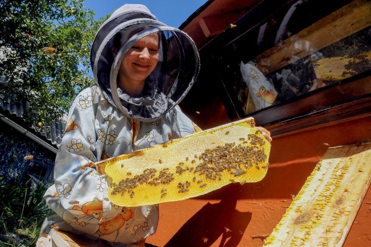 Украинские пасечники прогнозируют значительный спад урожая меда