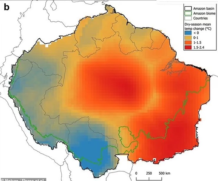 амазонка лес температура