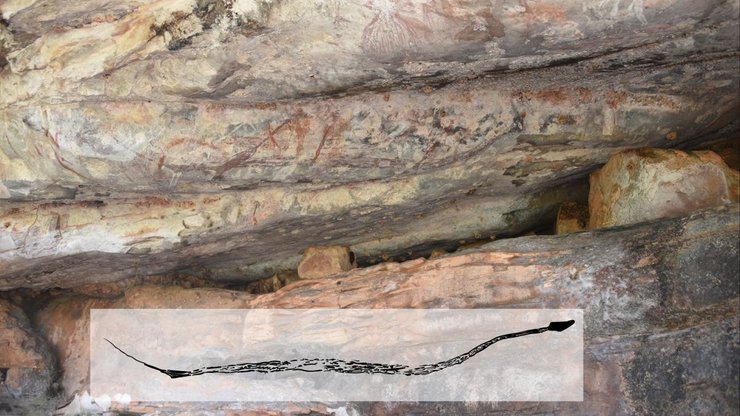 рисунки, животные, змея