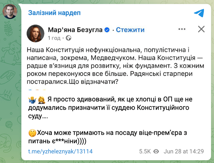 Ярослав Железняк ответил на критику Конституции от Марьяны Безуглой