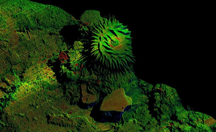 кораллы риф