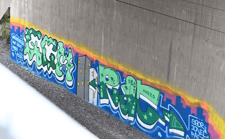 Заместитель мэра Хельсинки, Пааво Архинмяки, задержала полиция, рисовал графити,