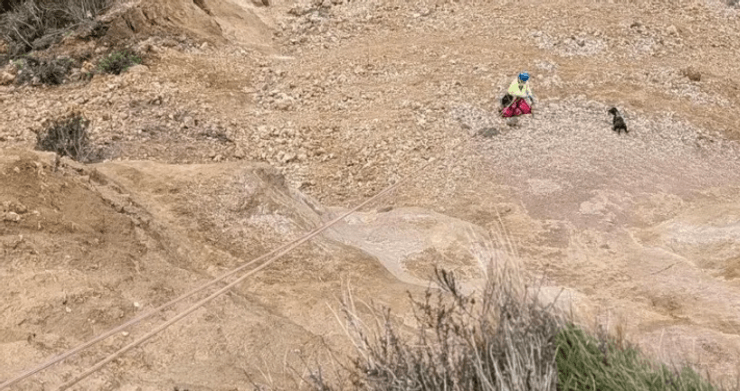 Собака схвильовано бігає плато