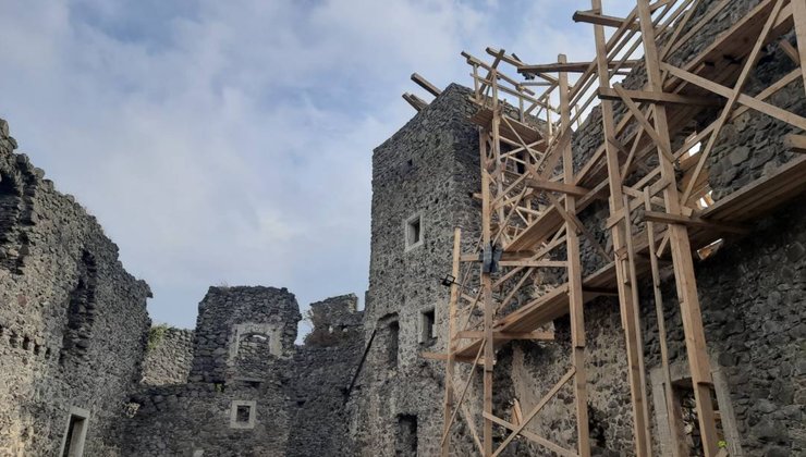 невицкий замок