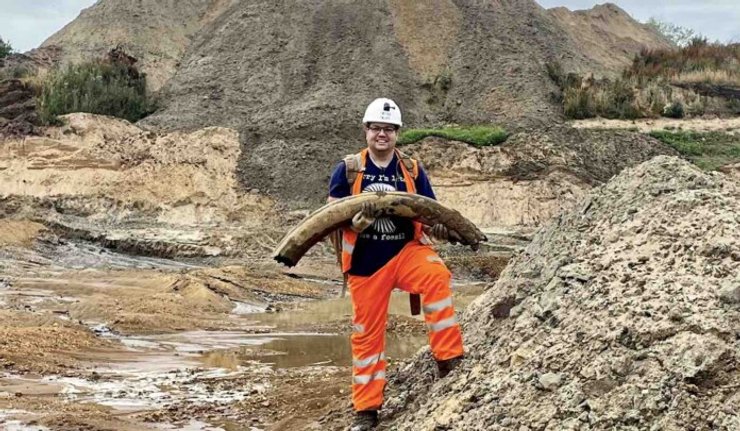 бивень, мамонт