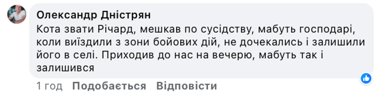 Кіт, коти, талісман, кіт талісман, ДПСУ, прикордонники, Держприкордонслужба, прикордонна служба