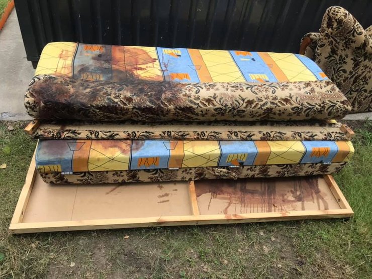 алексей кучапин, пропавший волонтер, диван