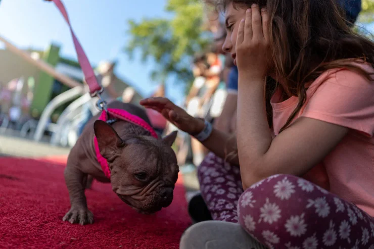конкурс самая уродливая собака