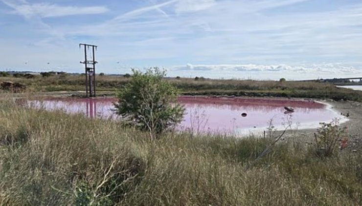Lивовижне озеро на узбережжі графства Кент, на острові Шеппі