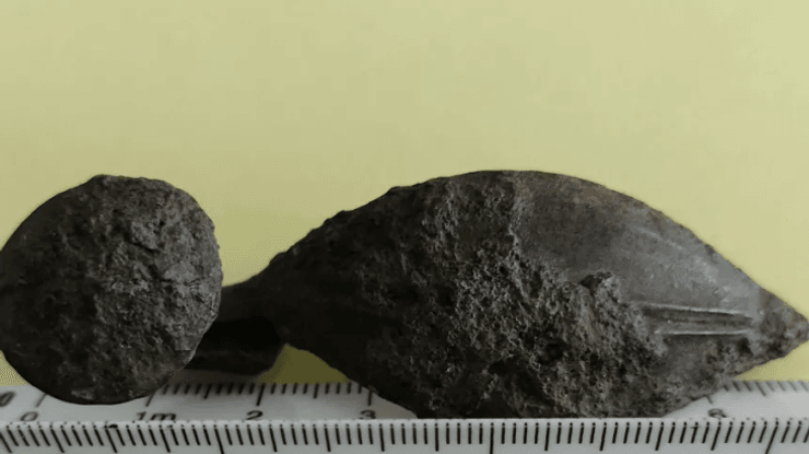 археология, археологи, Польша, металлоискатель, находка, средневековье, фибула, оружие, культура, украшение, памятник, лужицкая культура, артефакты, поисковик, захоронение, музей