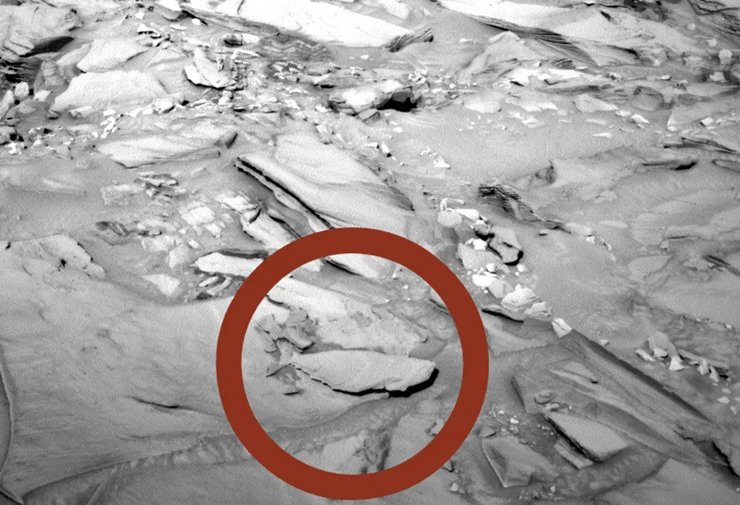 марсіанська риба, риба на марсі, Марс, знахідки на марсі, дослідження марсу, артефакти на марсі, незвичайні фотографії з марсу